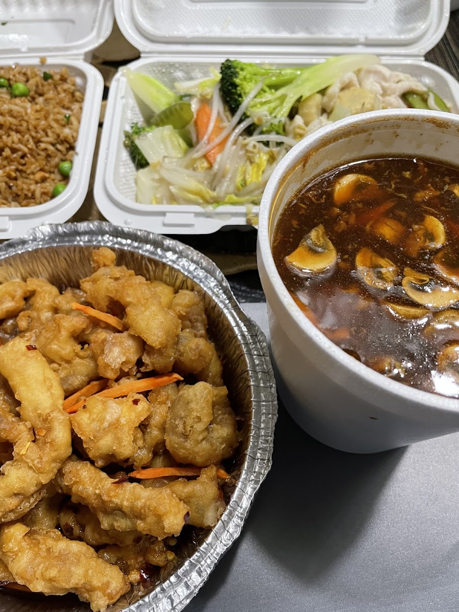 Ginger Garden Photos 2